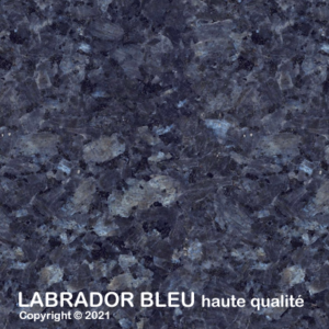051 labradorBlauHQ 1