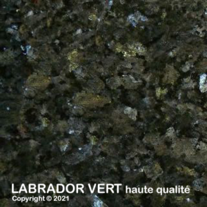 057 labradorVertHQ 1