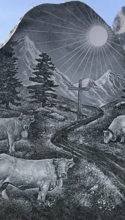 29