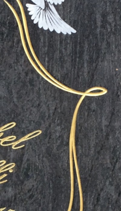 31