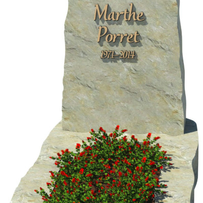 Monumento brut 21