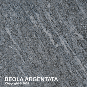 e120 BEOLA ARGENTATA